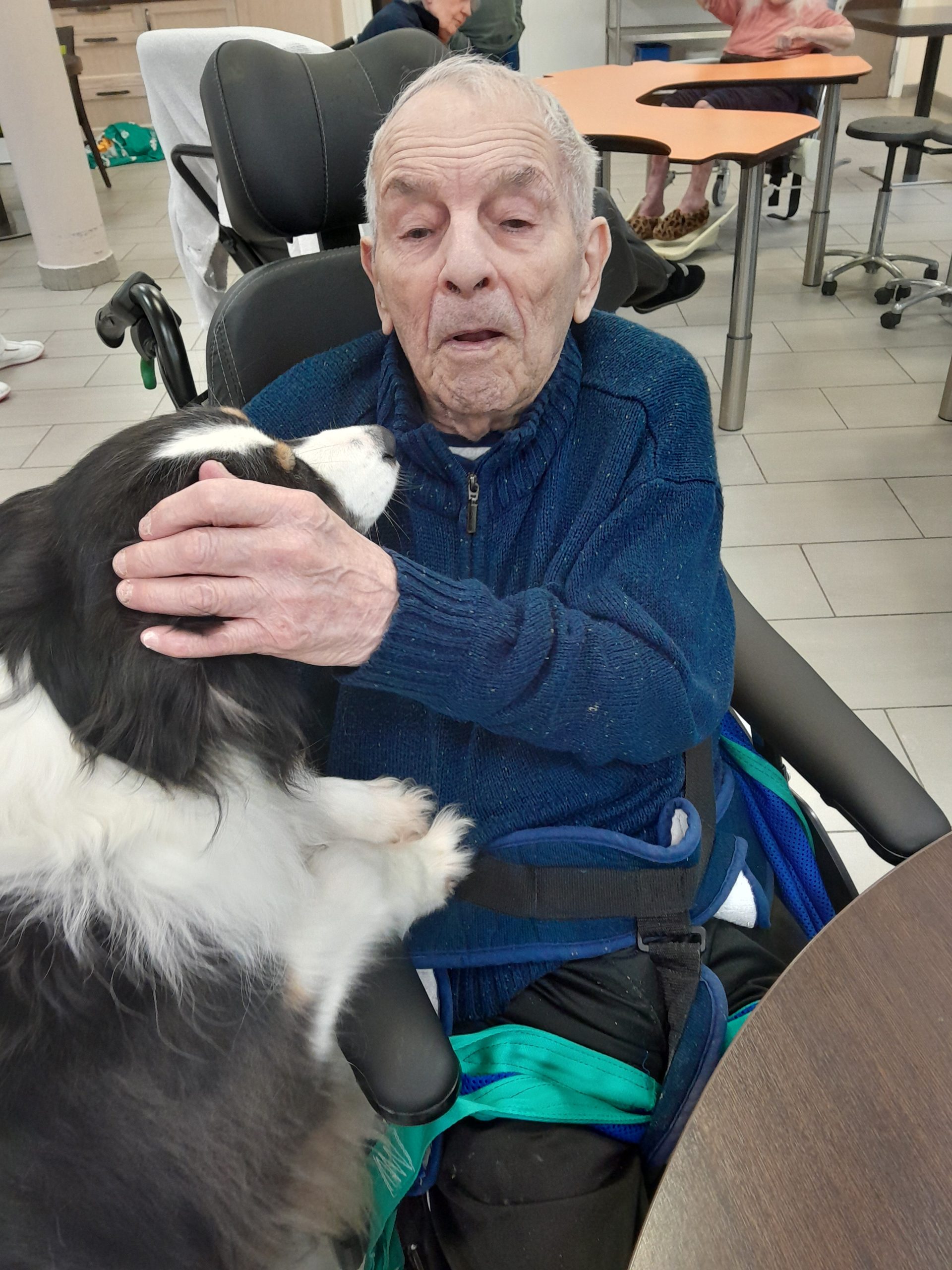 Visite d’Oscar le chien